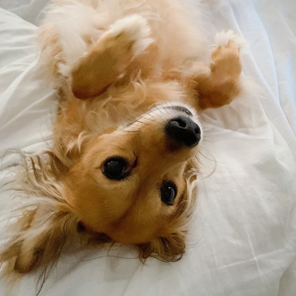 bonniejlong